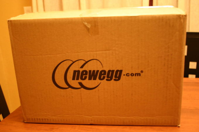 Newegg Wins Patent Troll Case After Court Delays